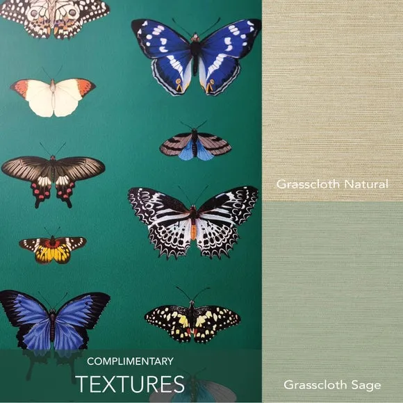 Butterfly Wallpaper - Emerald, Paper