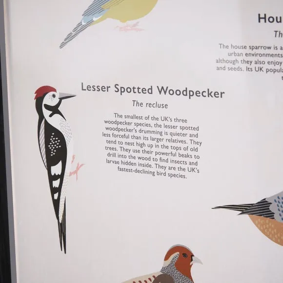 Framed Birds Print - Black, Wood