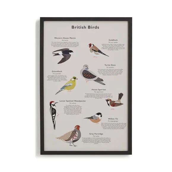 Framed Birds Print - Black, Wood
