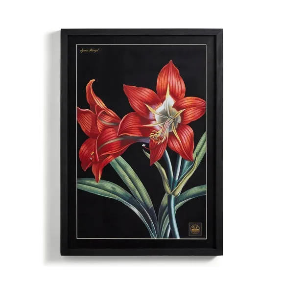 Framed Botanical Print - Black Frame