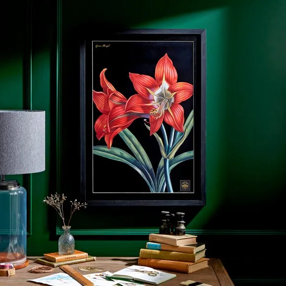 Framed Botanical Print - Black Frame image