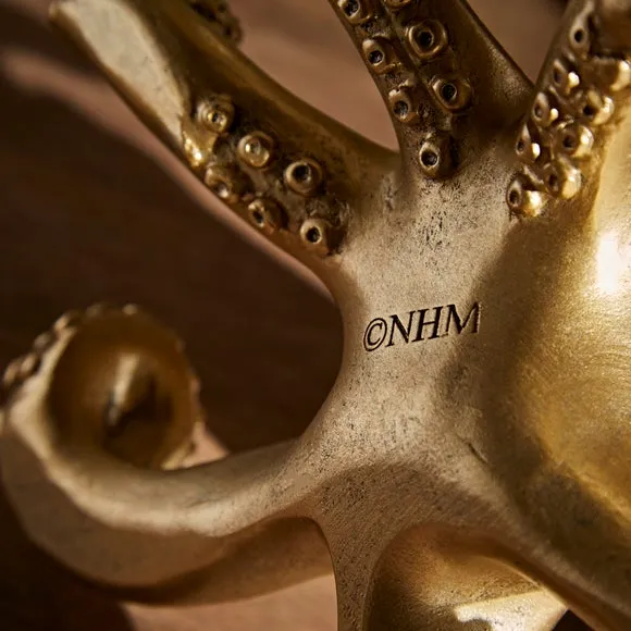 Octopus Glasses Holder - Gold, Resin
