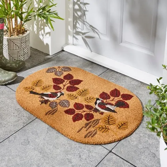 Outdoor Doormat with Bird Design - Multicolor, Coir image