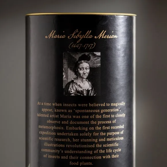 Reed Diffuser Refill - Black, Glass