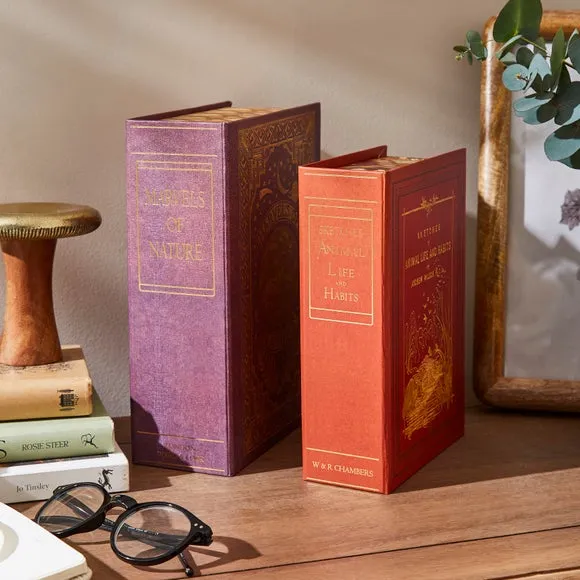 Set of 2 Book Storage Boxes - Multicolor