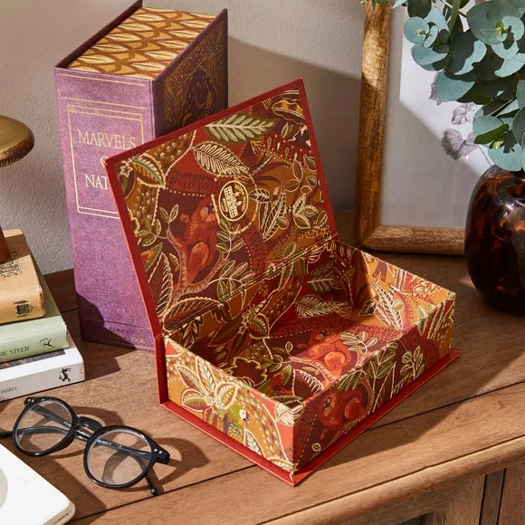 Set of 2 Book Storage Boxes - Multicolor