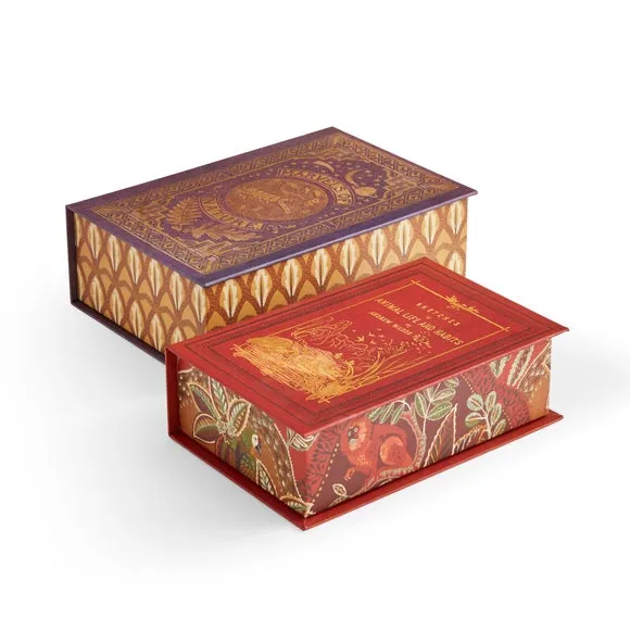 Set of 2 Book Storage Boxes - Multicolor