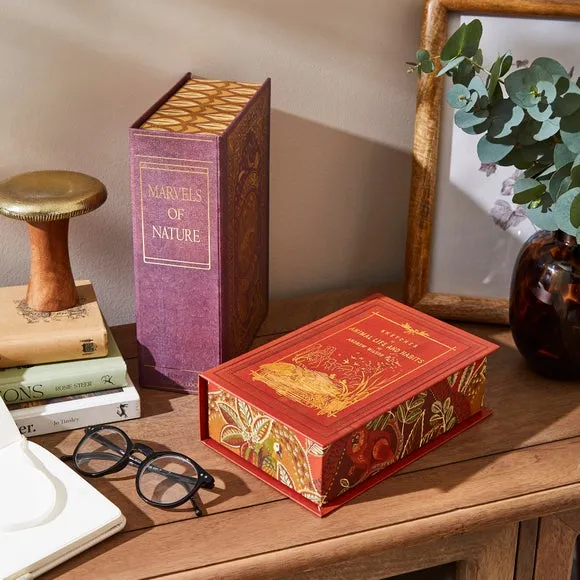 Set of 2 Book Storage Boxes - Multicolor image