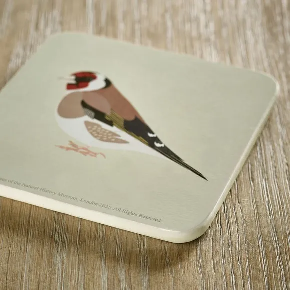Set of 4 Bird Coasters - Cream