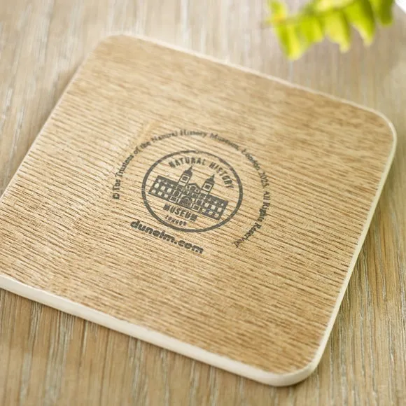 Set of 4 Bird Coasters - Cream