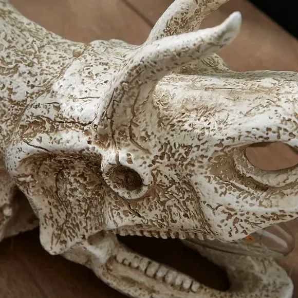 Triceratops Skull Table Lamp - Off-White, Resin
