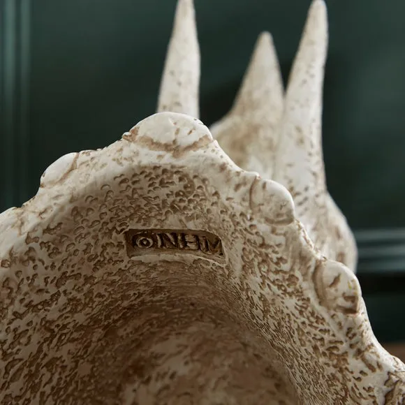 Triceratops Skull Table Lamp - Off-White, Resin
