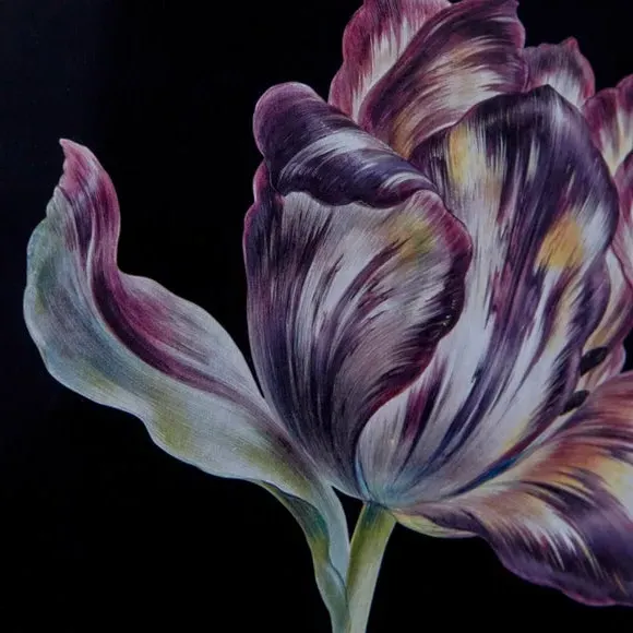Tulip Framed Print - Black Frame