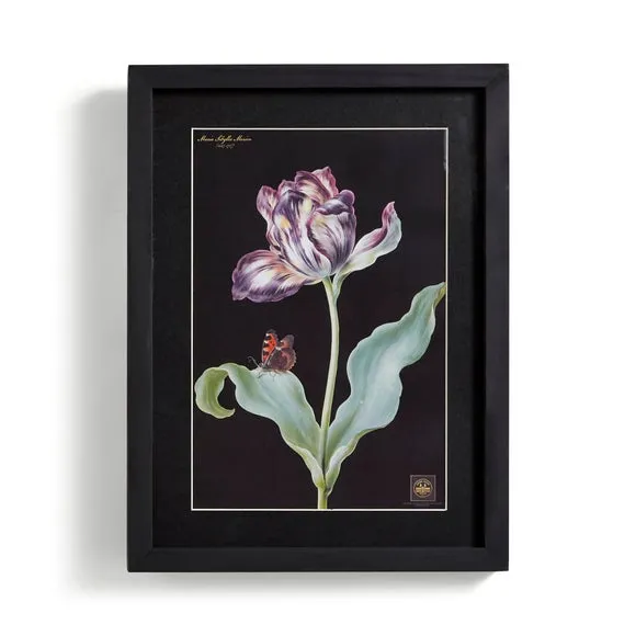 Tulip Framed Print - Black Frame