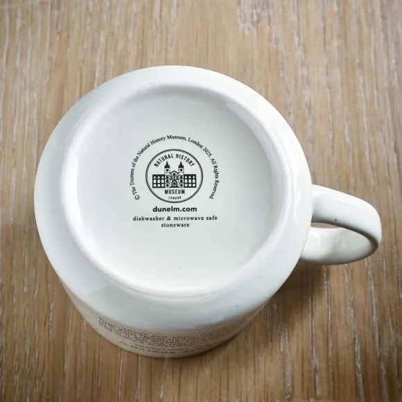 Willow Tit Mug & Coaster Set - Cream, Sandstone