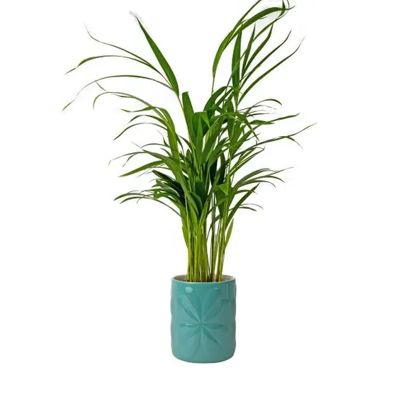 Embossed Plant Pot - Blue, Ceramic