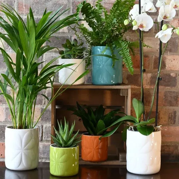 Embossed Plant Pot - White, Ceramic
