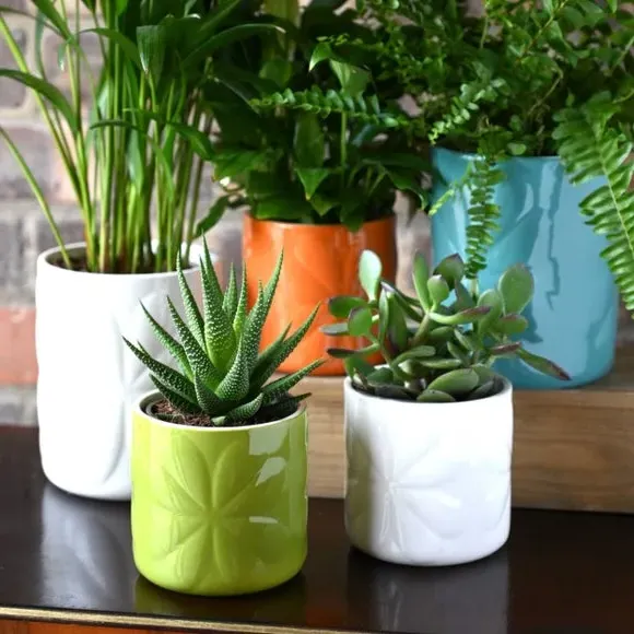 Embossed Plant Pot - White, Ceramic