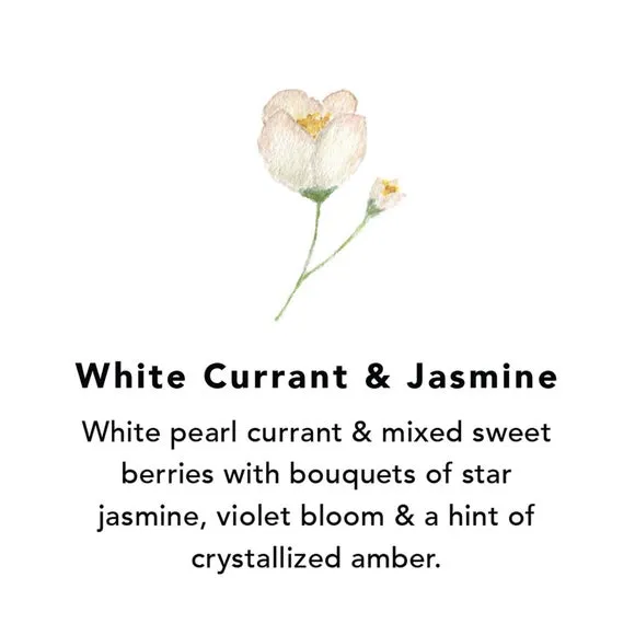 Wax Melts White Currant & Jasmine - White