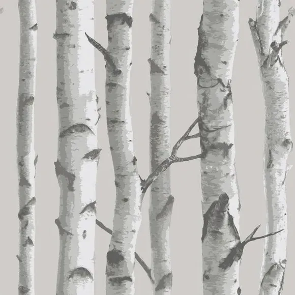 Self Adhesive Wallpaper - Grey, Mountain Birch