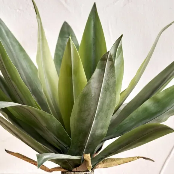Artificial Agave Plant - Cream Pot
