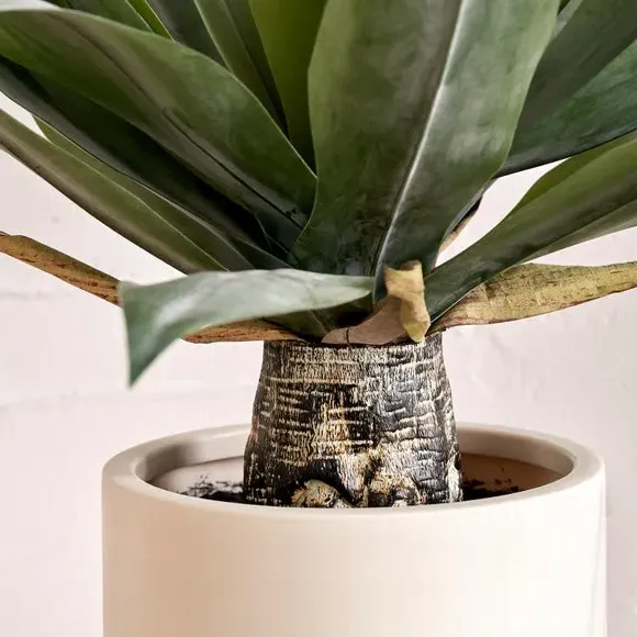Artificial Agave Plant - Cream Pot
