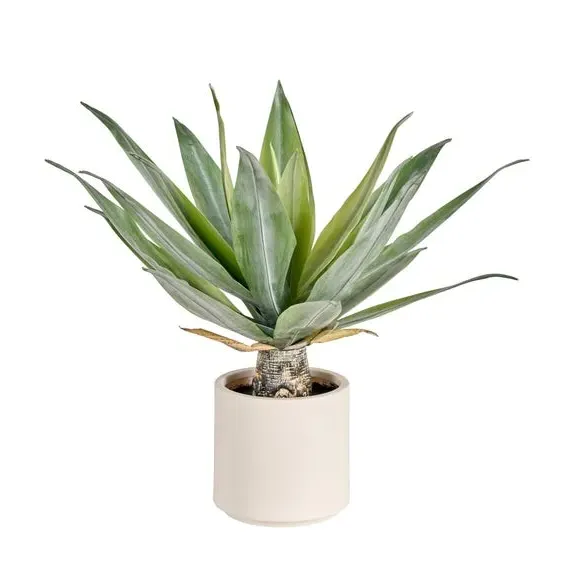 Artificial Agave Plant - Cream Pot