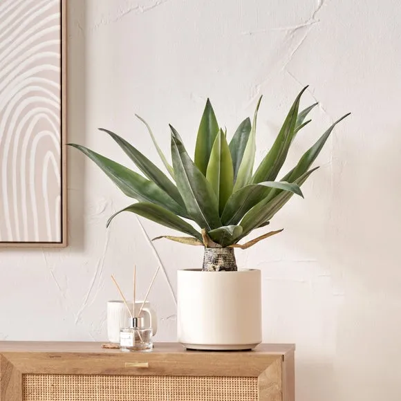 Artificial Agave Plant - Cream Pot image