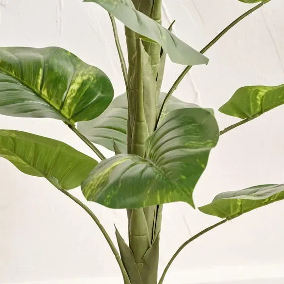 Artificial Elephant Ear Plant - Grey Pot