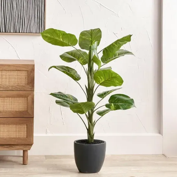 Artificial Elephant Ear Plant - Grey Pot image