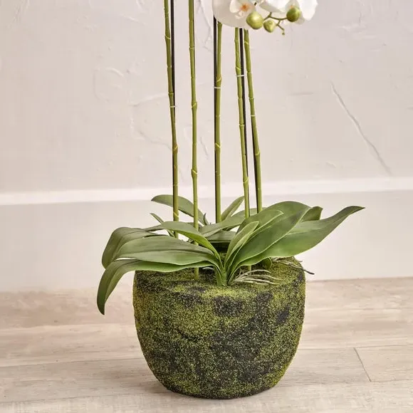 Artificial Orchid in Moss Pot - White