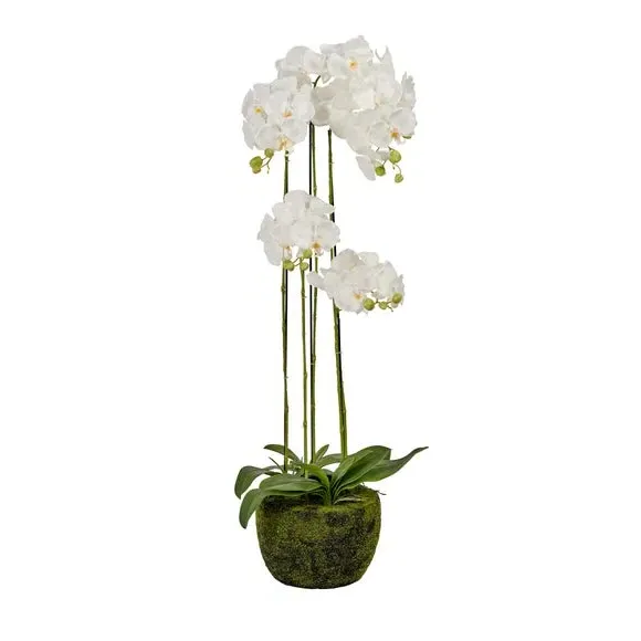 Artificial Orchid in Moss Pot - White