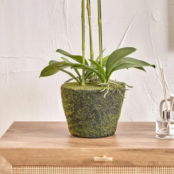Artificial Orchid in Moss Pot - White