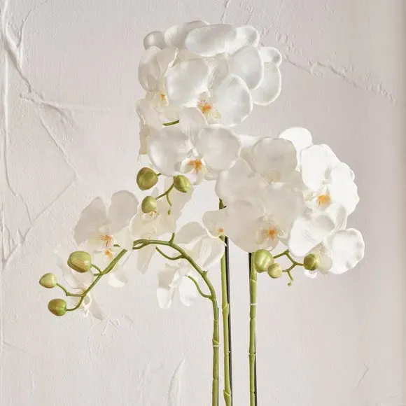 Artificial Orchid in Moss Pot - White