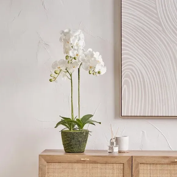 Artificial Orchid in Moss Pot - White image