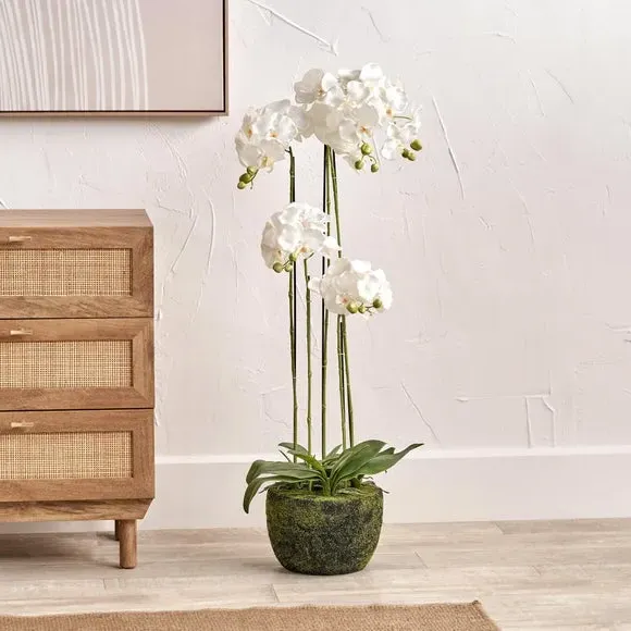 Artificial Orchid in Moss Pot - White