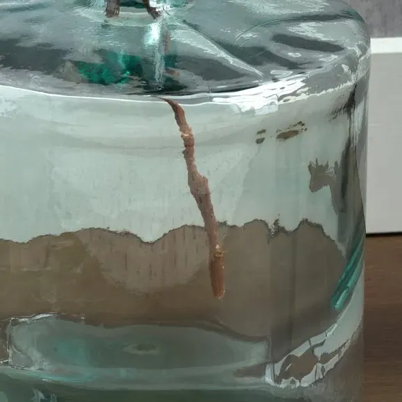 Bottle Vase with Straight Sides - Clear Glass