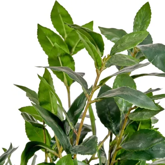 Medium Artificial Bay Tree - Cream, Polypropylene