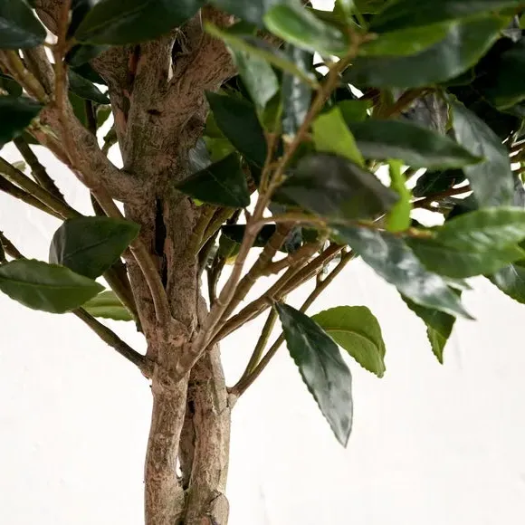 Medium Artificial Bay Tree - Cream, Polypropylene