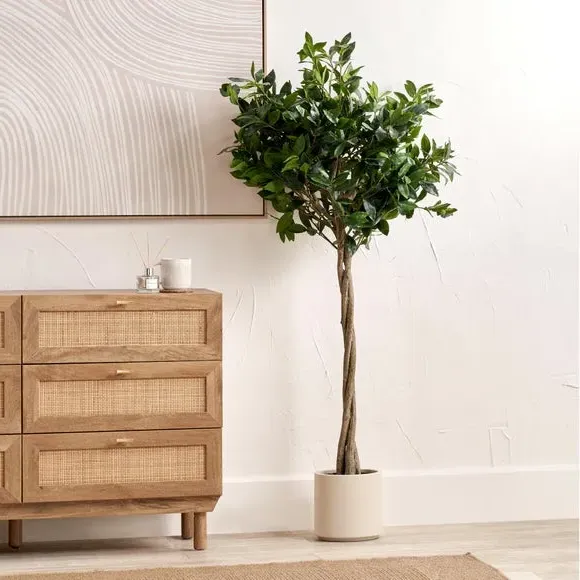 Medium Artificial Bay Tree - Cream, Polypropylene image