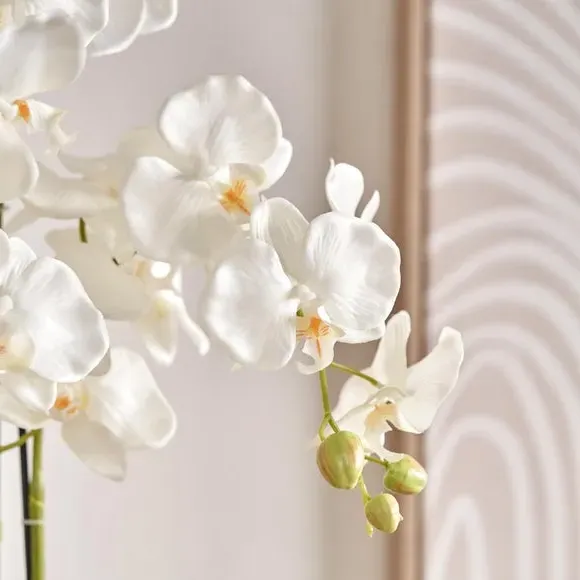 Rounded Artificial Orchid with Pot - White, Ceramic
