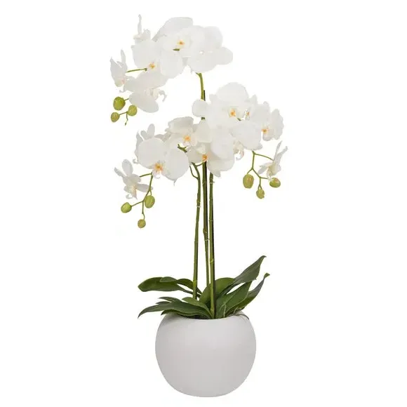 Rounded Artificial Orchid with Pot - White, Ceramic