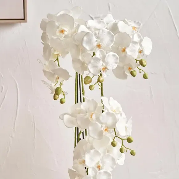 Rounded Artificial Orchid with Pot - White, Ceramic