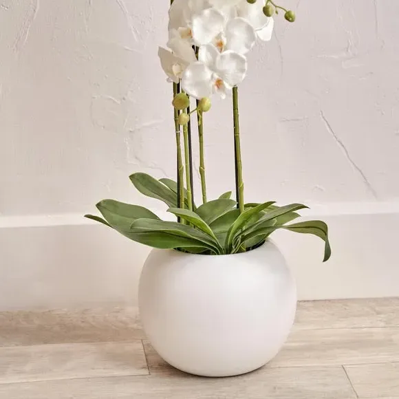 Rounded Artificial Orchid with Pot - White, Ceramic
