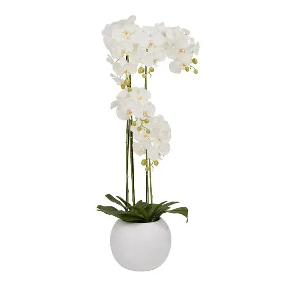 Rounded Artificial Orchid with Pot - White, Ceramic