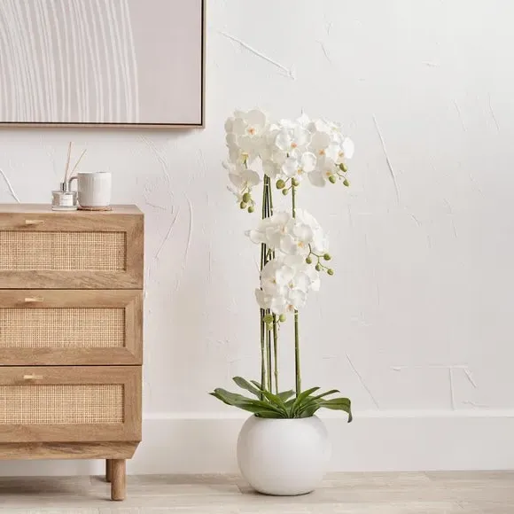 Rounded Artificial Orchid with Pot - White, Ceramic