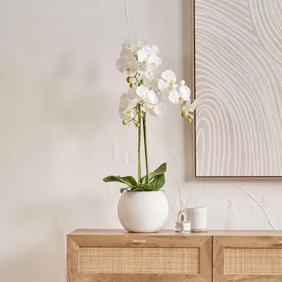 Rounded Artificial Orchid with Pot - White, Ceramic image