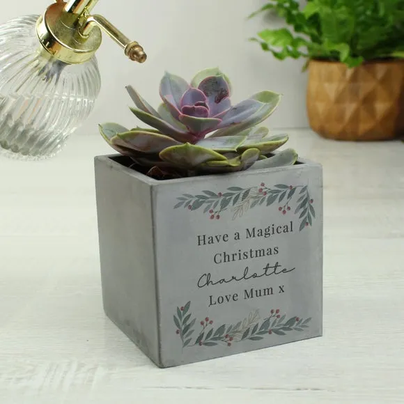 Christmas Foliage Plant Pot - Grey, Concrete