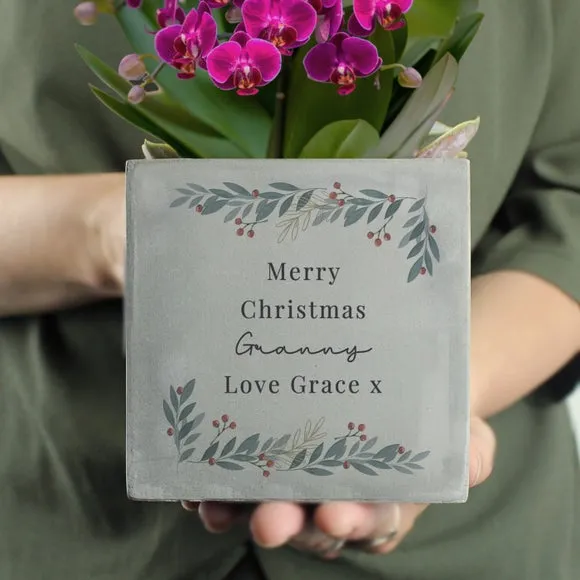 Christmas Foliage Plant Pot - Grey, Concrete