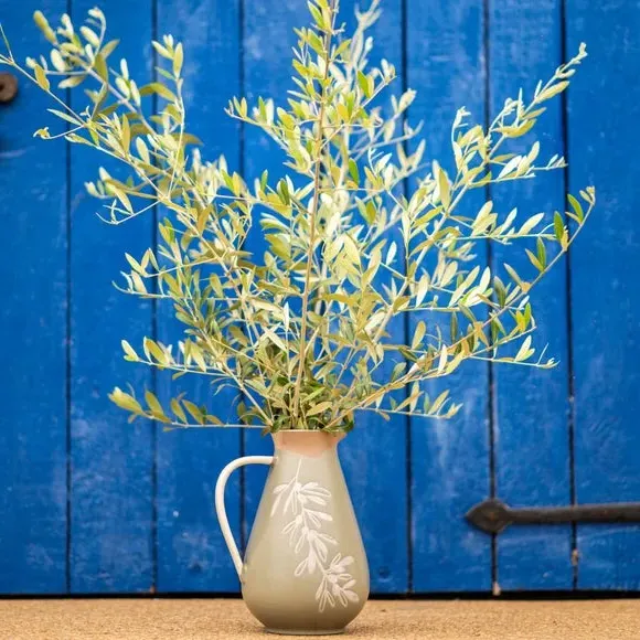 Ceramic Jug with Olive Design - Green, Stoneware